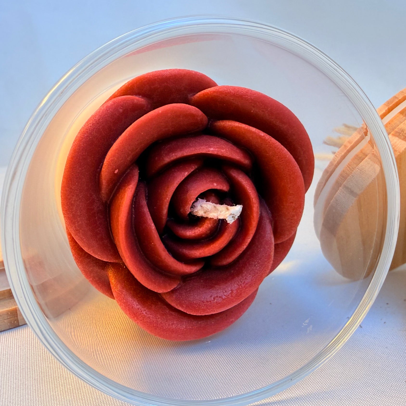 Held in Bloom image 4